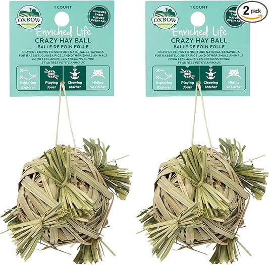 Oxbow Enriched Life Crazy Hay Ball, Rabbit Toys, Guinea Pig Toys, Enrichment for Bunny, Guinea Pig, Hamster, Rabbit, Chinchilla, Rat, Chinchilla Cage Accessories, Small Pet Accessories for Cage