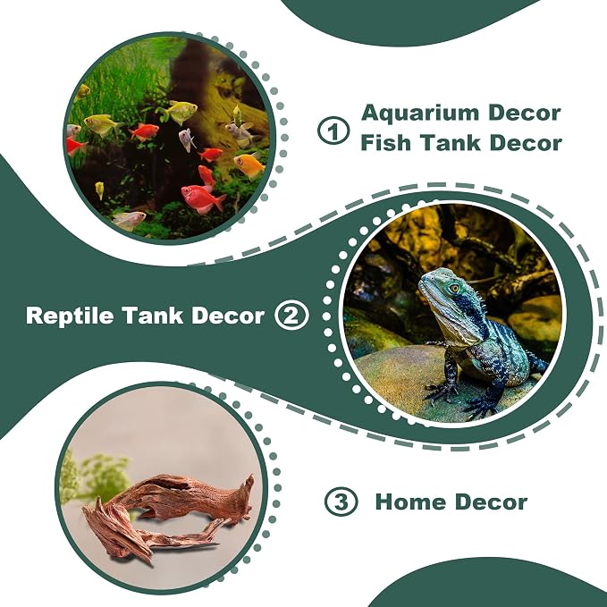 Natural Wood Driftwood for Aquarium Fish Tank Decor,Assorted Driftwood Trunk Branch for Reptile Tank Decor (MOP-ZYM Driftwood Branch (12 to16 Inch)-Pack of 3)
