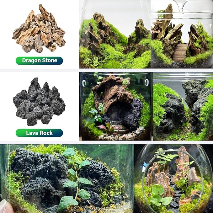 Natural Rocks Dragon Stone 1-2.5 Inches Decorative Stones for Terrariums,Miniature,Fairy Gardens,Bonsai,DIY Crafts, Aquariums,Dioramas & Wargaming-2lb