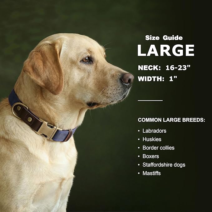 Didog Soft PU Leather Dog Collar for Large Dogs,Classic Adjustable Dog Collars with Quick Release Metal Buckle,Easy Clean and Comfortable with Nylon Lining,Blue,L Neck 16-23"