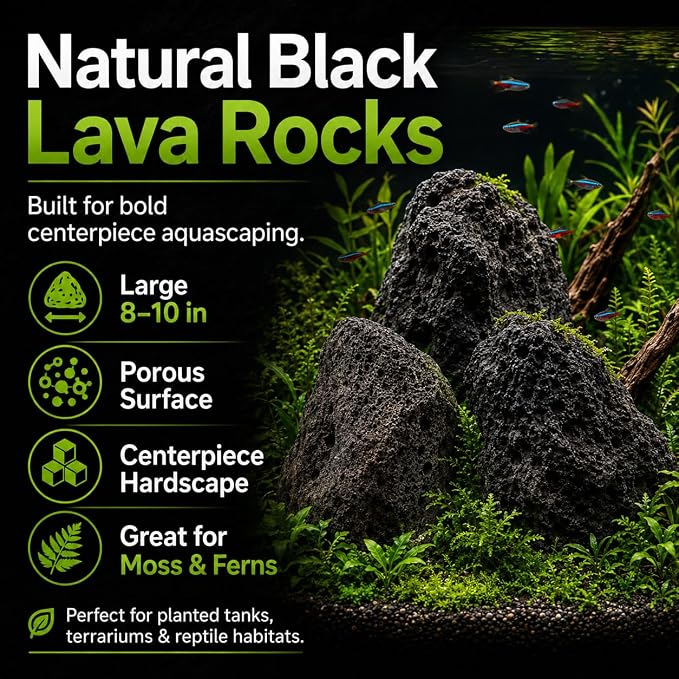 8–10 Inches Natural Black Lava Rocks, 3 PCS Large Aquarium Stones for Aquascaping, Fish Tank Centerpiece Decor, Planted Tanks, Terrariums & Reptile Habitats (Large 8–10 in)