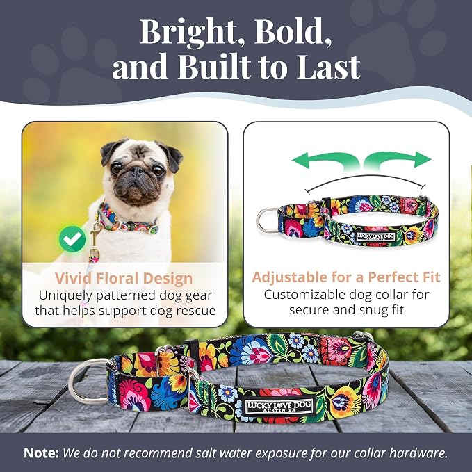 Lucky Love Dog Martingale Dog Collar - Adjustable, No-Slip, Durable, & Soft Webbing Collar for Male and Female Dogs Ideal for Training & Walking - Blackbird, Large