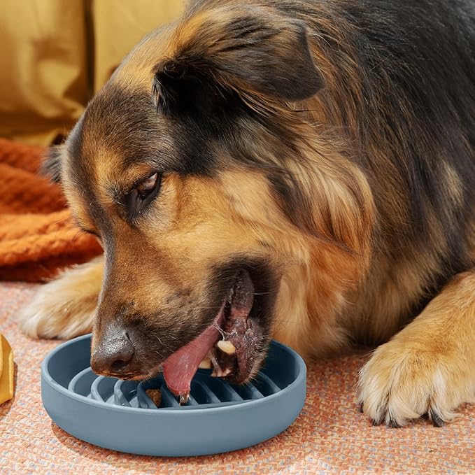 Should We Go? Slow Feeder for Dogs & Puppies, The Slowdown Bowl Silicone Slow Eating, Modern Lick Mat Design, Reduces Gulping, Fits 2 Cups, 7.5” Across x 1.5” Tall, Mealtime Challenge, Medium-Ocean