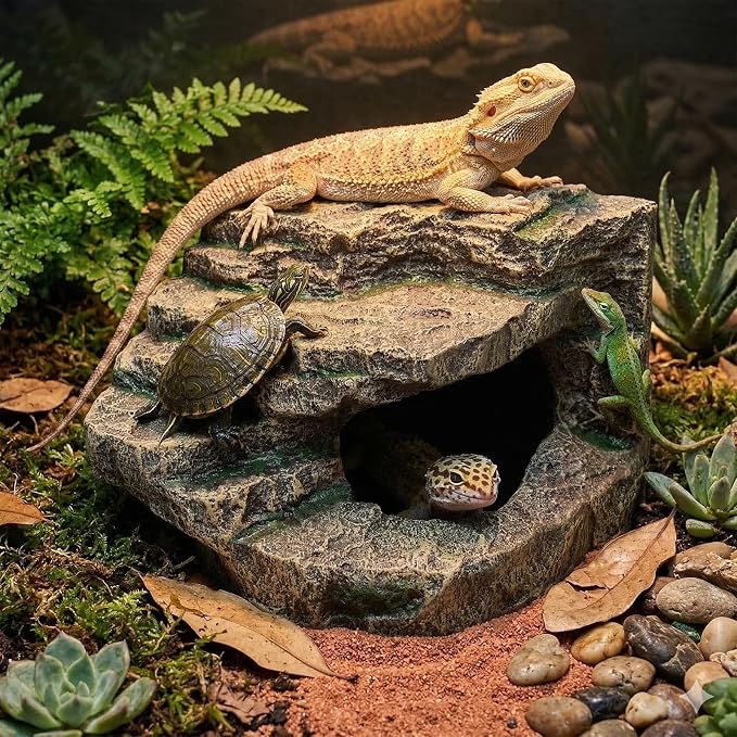Beared Dragon Tank Accessories for Adults, Snake Hide, Reptile Tank Accessories, Perfect Natural Large Reptile Hide, Professional Turtle Basking Platform (E-Large)