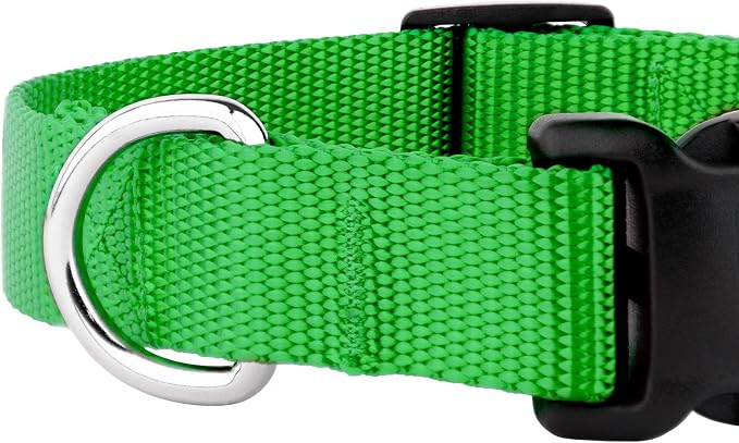 Country Brook Petz - Everyday Nylon Dog Collar and Leash - 10+ Cool Colors (3/4 Inch, Medium, Hot Lime Green)
