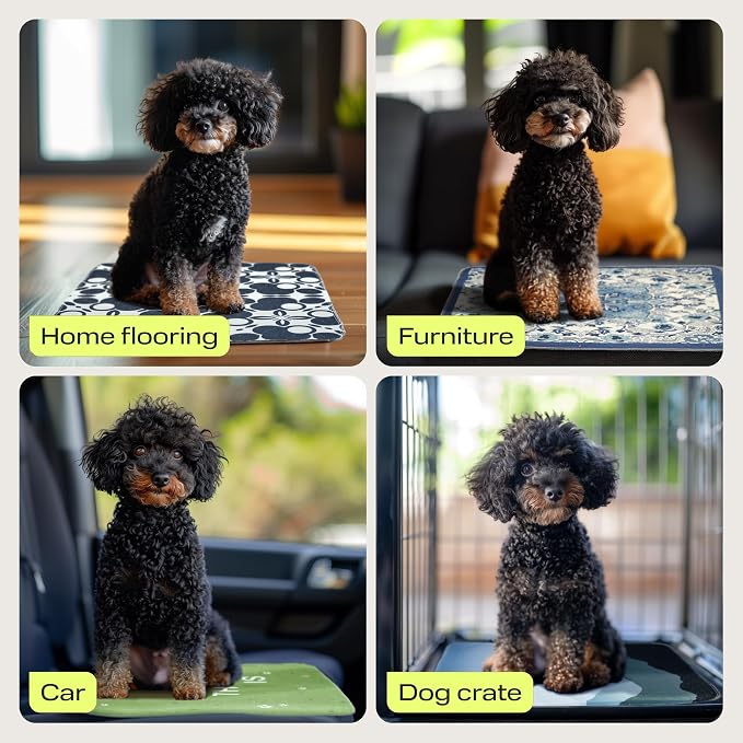 PetSpy Washable Pee Pads for Dogs - Waterproof Reusable Puppy Pads No-Slip Surface - Stylish Dog Potty Training Pads Protect Against Leakage (Landscape, 1 Pack - 72" x 72")