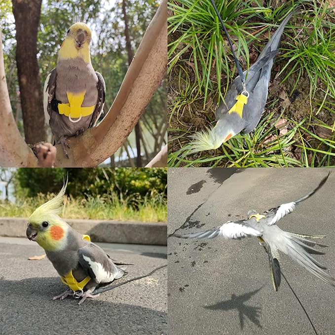 VANFAVORI Bird Harness with Buckle Clip and a Leash, Easy to Wear for Bird Parrots Cockatiel S Size Weight 85-105 Grams, Yellow