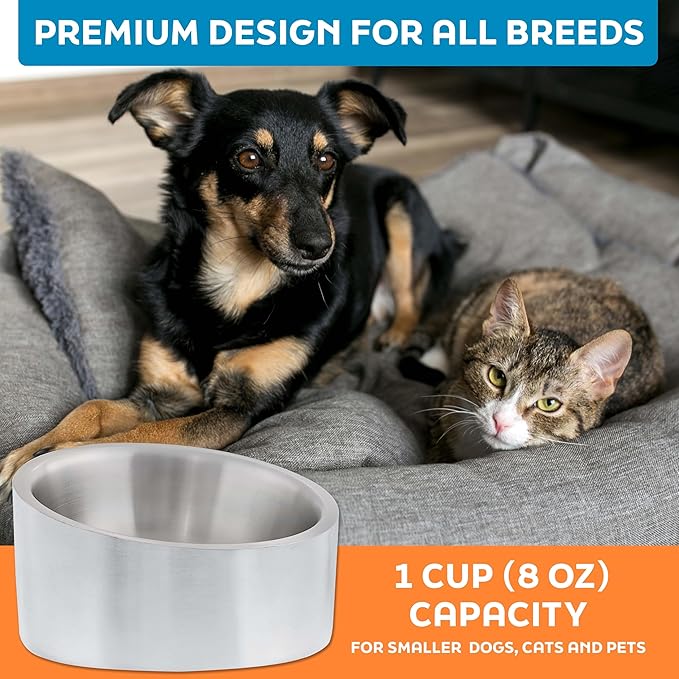 Master Pet Supply Stainless Steel Slanted Dog Cat Food Bowl - 8 oz Heavy Duty - Stainless Steel, Double Wall Insulated, Non-Slip Elevated Bowl for French Bulldogs Pugs Cats, Anti Rust Dishwasher Safe
