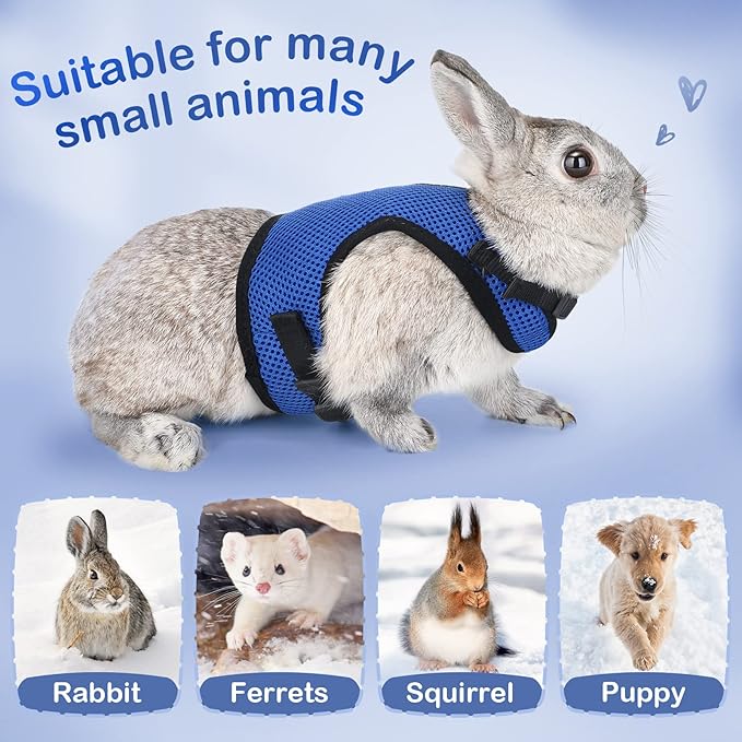 PETTOM Bunny Rabbit Harness with Stretchy Leash Cute Adjustable Buckle Breathable Mesh Vest for Kitten Small Pets Walking (Blue,XL)