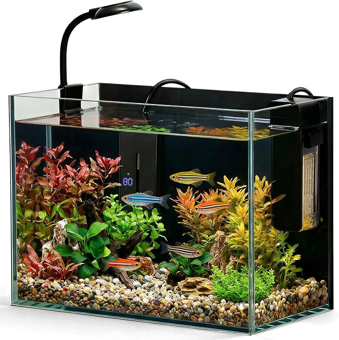 2.5 Gallon Small Fish Tank, Nano Aquarium with Heater, Ultra-Clear Glass, LED Light, Filter, Lid, Gravel and Rock, Desktop Beta Fish Aquarium Perfect for Shrimp, Snails or Live Plants | Ultra-Clear Glass Desktop Beta Habitat with LED Light, Filter, Lid...