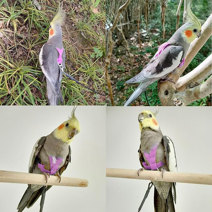 VANFAVORI Bird Harness with Buckle Clip and A Leash, Outdoor Flying Kit for Bird Parrots Cockatiel S Size Weight 85-105 Grams, Purple
