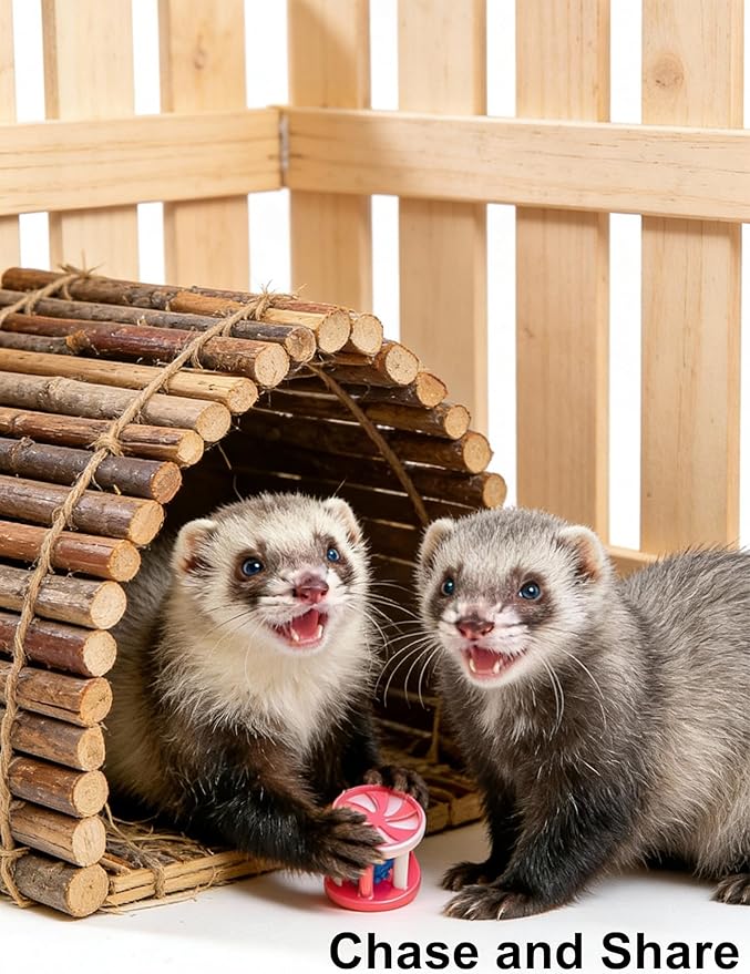 10 Pack Ferret Ball Toys Ferrets, Bell Inside, Durable PP Material, Interactive Play for Dental Health & Stimulation (1.5'' - 2.2'')