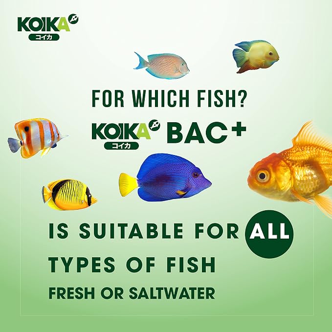 KOIKA BAC+ Aquarium Probiotics for Fish & Shrimp – High-Density Beneficial Bacteria, Immunity Boosting, Disease Resistance & Digestive System Support (105ml)