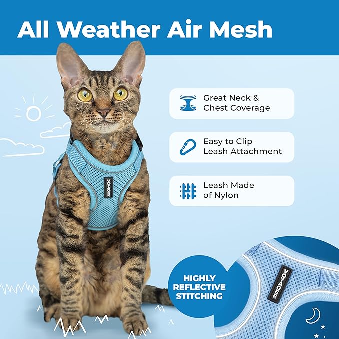 Voyager Escape-Proof Step-in Lock Cat Harness & 5ft Neoprene-Handle Leash Set All-Weather Mesh with Reflective Stitching for Small to Large Cats by Best Pet Supplies, Baby Blue (327), XXS
