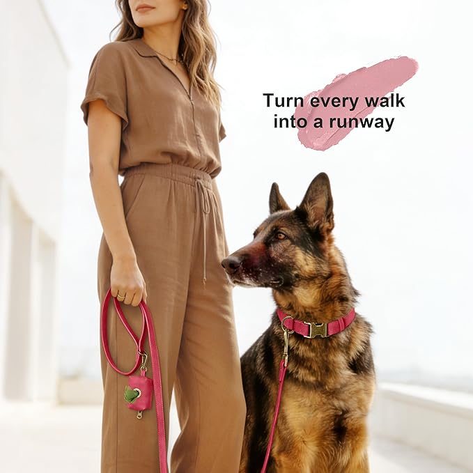 Didog Soft PU Leather Dog Collar, Stylish Quick Released Dog Collars for Large Dogs, Easy Clean Adjustable Pet Collar for Daily Walking, Red, XL Fit 20-26" Neck