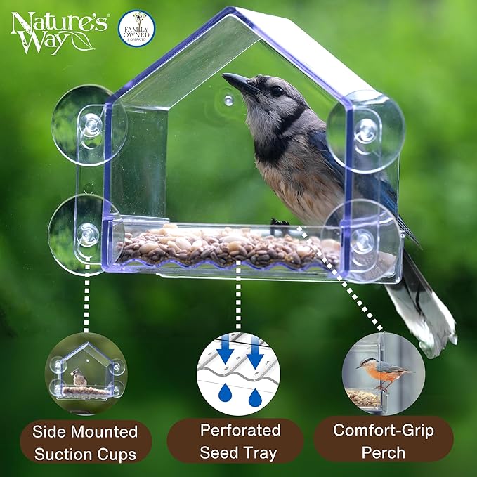 Nature's Way Win-3 Clear View Window Bird Feeder with Strong Suction Cups, Transparent Outdoor Wild Bird Seed Feeder and Décor, 2 Cup Capacity, Clear, 6.5"