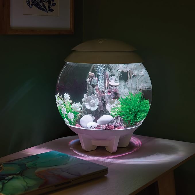 biOrb Halo 15 Acrylic 4-Gallon Aquarium with Multi-Color Remote-Controlled LED Lights Modern Compact Tank for Tabletop or Desktop Display, White