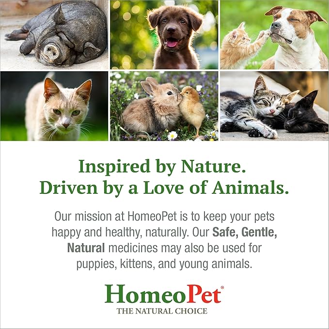 HomeoPet Feline Hairball Furball, Safe and Natural Furball Supplement for Cats, Cat Hairball Relief, 15 Milliliters