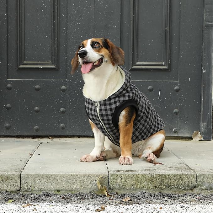 Vecomfy Fleece Lining Dog Hoodie for Small Dogs Extra Warm Plaid Sweater with Drawstring Hooded Coats in Winter Puppy Jacket,Black XS