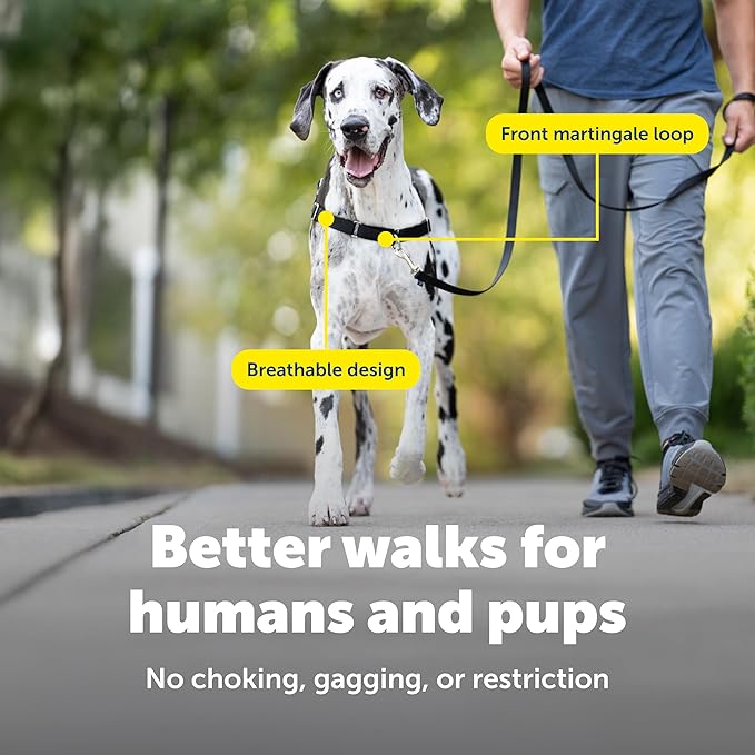 PetSafe Easy Walk No-Pull Dog Harness - The Ultimate Harness to Help Stop Pulling - Take Control & Teach Better Leash Manners - Helps Prevent Pets Pulling on Walks, X-Large, Black/Silver