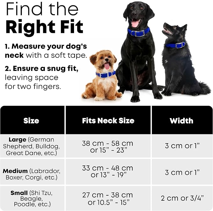 Regal Dog Products Large Blue Waterproof Dog Collar and Leash Set | Heavy Duty Double Buckle & D Ring - 5'ft Leash | Adjustable Biothane Dog Collar | Chew Resistant Waterproof Collar for Dogs