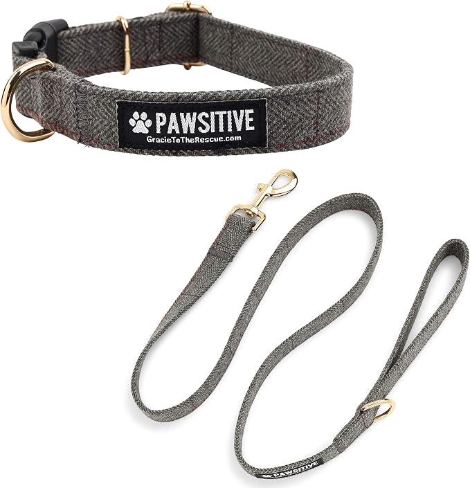 Pawsitive Wool Dog Collar - Hypoallergenic Dog Collar, Great Dog Collar for Sensitive Skin, Soft Collar for Dogs, Soft Organic Dog Collar Eco-Friendly (Large, Gray & Leash)