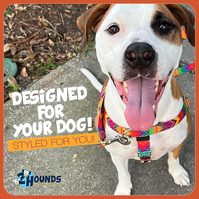 2 Hounds Design Freedom No Pull Dog Harness, Adjustable Harness, Easy Walking & Comfortable Control, Fits Small, Medium & Large Dogs, Solid Colors, Made in USA, 1" MD, Purple
