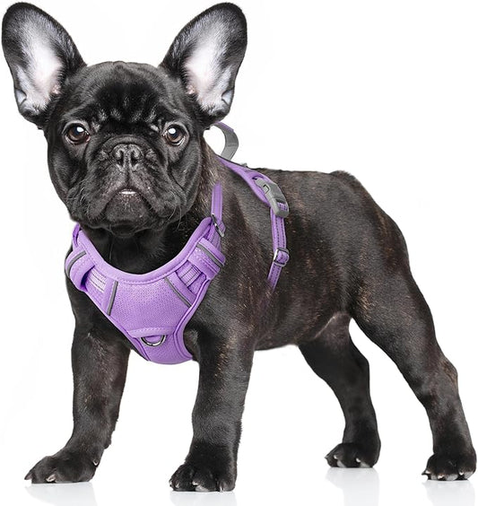 BARKBAY No Pull Dog Harness Large Reflective Dog Harness with Front Clip and Easy Control Handle for Walking Training Running with ID tag Pocket(Violet Purple,S)
