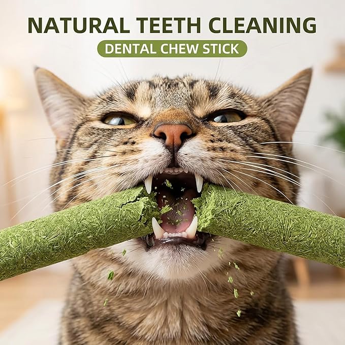 10Pcs/50g Cat Toys Kitten Freeze Dried Catnip Cat Grass Teething Stick Treat for Indoor Cats Edible Removal Hairballs Kitten Toys Kitty Chew for Cleaning Teeth Kitty Snack Dental Care