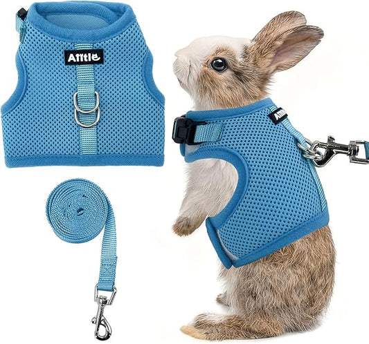 AIITLE Adjustable Rabbit and Leash Set - Lightweight & Portable, Padded Vest with Magic Tape Design, Indoor/Outdoor Use (Training, Hiking) - Fits Hamsters, Rats, Iguanas, Puppies, Cats, Blue M