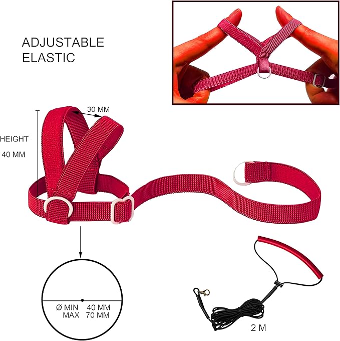 VANFAVORI Adjustable Bird Harness with 80 Inch Leash, Outdoor Flying Kit Training Rope for Bird Parrots Cockatiel S Size Weight 70-120 Grams, 2 Pieces