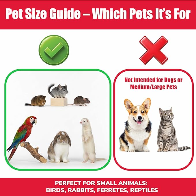 SPOT Stainless Steel Mini Coop Cup with Wire Hooks – 10 oz Small Pet Food & Water Bowl, Rust-Resistant & Easy to Clean, Attaches to Cages for Birds, Parrots, Rabbits, Ferrets, Rats & Small Pets