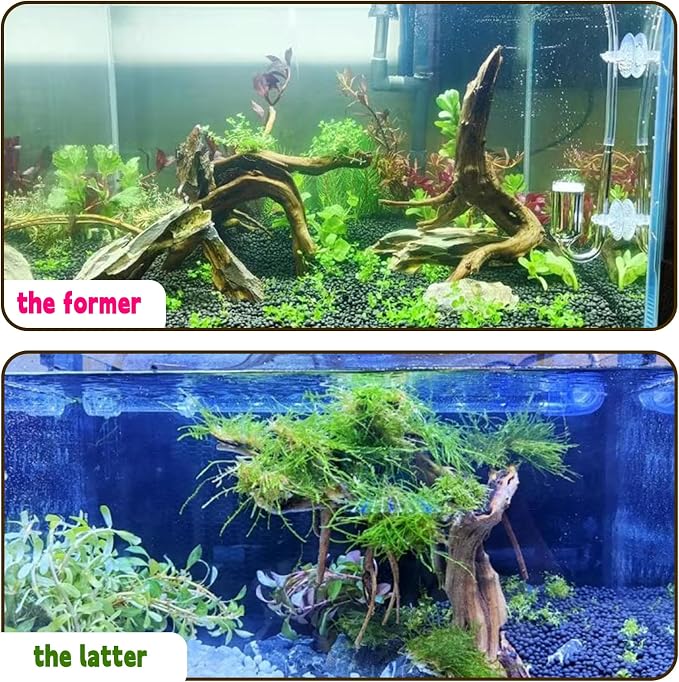 Hamiledyi 5PCS Driftwood for Aquarium 7-9in Natural Reptile Spider Wood Assorted Branches Aquarium Decoration Fish Tank Ornament Decor