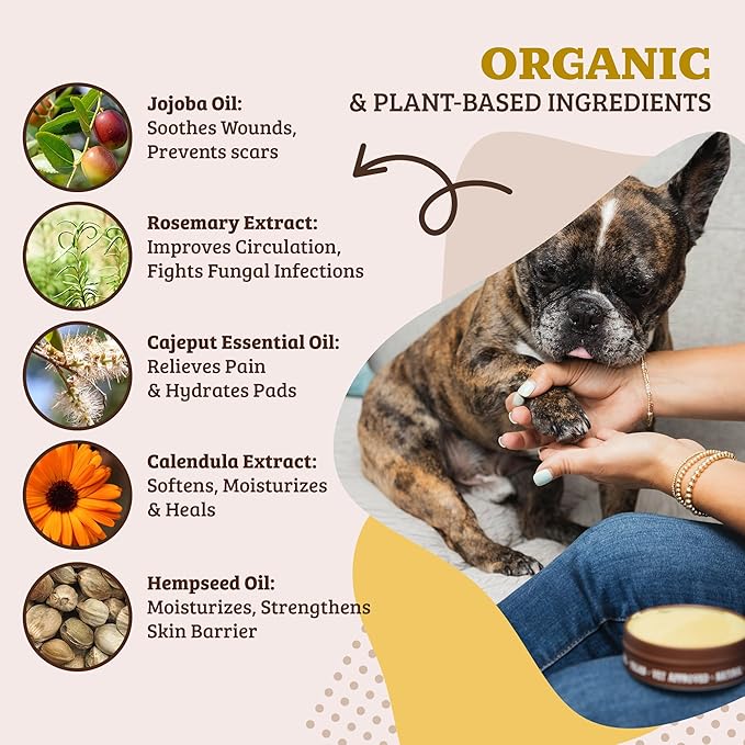 Natural Dog Company Paw Soother Balm & Wax - Dog Paw Balm & Moisturizer for Dry, Cracked Paw Pads, Helps Moisturize & Condition Worn Paws, Coconut Oil & Calendula, Daily Paw Care, 1 oz Tin