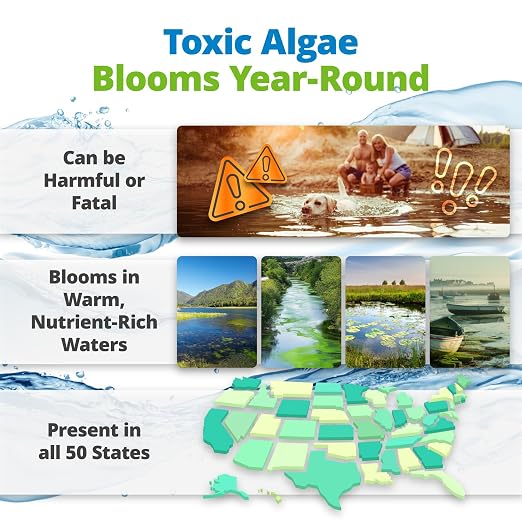 5Strands Blue-Green Algae Water Test Kit for Lakes & Ponds, 2 Pack | On-Site Water Test to Detect Dangerous Blue-Green Algae Toxins in Lakes & Ponds. Results in 10 minutes. Keep Your Family Safe
