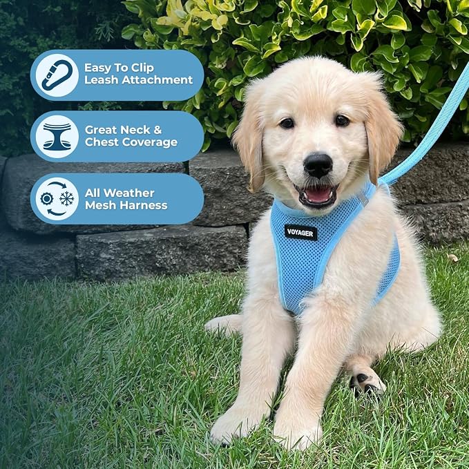 Best Pet Supplies Voyager Step-in Air All Weather Mesh Harness and Reflective Dog 5ft Leash Combo with Neoprene Handle, for Small, Medium and Large Breed Puppies - Baby Blue, X-Small
