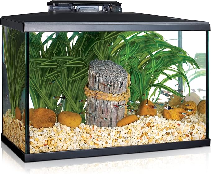 Marina 5 Gallon (19 L) LED Aquarium Kit | Ideal for Beginner Aquarists and New Fish-Keepers
