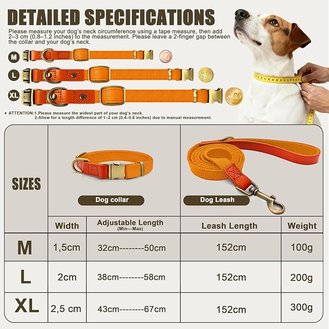 Dog Collar and Leash Set with Metal Quick Release Buckle, Adjustable, Breathable Nylon, Durable, Soft and Comfortable, No Pull for Walking and Training, Orange, M (12.5"-19.6")