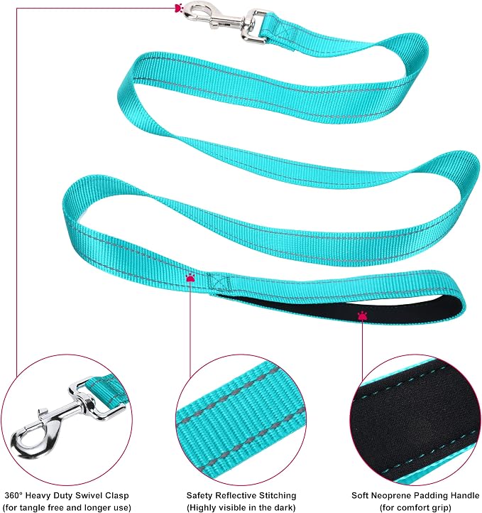 Soft Neoprene Padded Dog Collar and Leash Set for Small Medium Large Dogs, Reflective Durable Nylon Dog Collar with 5ft Leash Easy for Walking, Teal,Neck fit 12.5-19.5’’