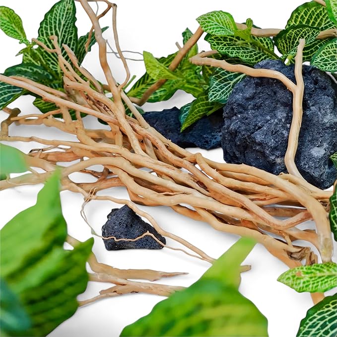 Azil Natural Aquarium Driftwood Root – Driftwood for Aquarium Decor, 250g ≈ 0.551 lb (10″–15''), Fish Tanks, Terrariums, Aquascaping & Planted Tanks