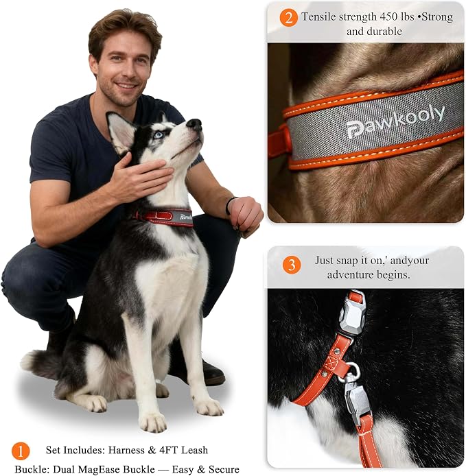 MagEase Dog Collar with 4FT Leash | Adjustable | Anti-Wrinkle, Bite & Stain-Resistant Leather | Soft & Skin-Friendly | 450LB Escape-Proof Magnetic Buckle (Orange, Extra Large)