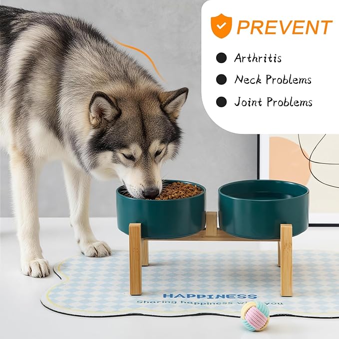 Elevated Ceramic Dog Bowl Set - Raised Dog Bowls with Non Slip Bamboo Stand, Food and Water Bowl Set for Kitty, Cats and Toy Breed Dogs, Pet Bowls, Weighted Dogs Dishes (5.1'', 2*16OZ, Green)