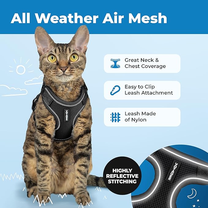 Voyager Escape-Proof Step-in Lock Cat Harness & 5ft Neoprene-Handle Leash Set All-Weather Mesh with Reflective Stitching for Small to Large Cats by Best Pet Supplies, Black (327), M