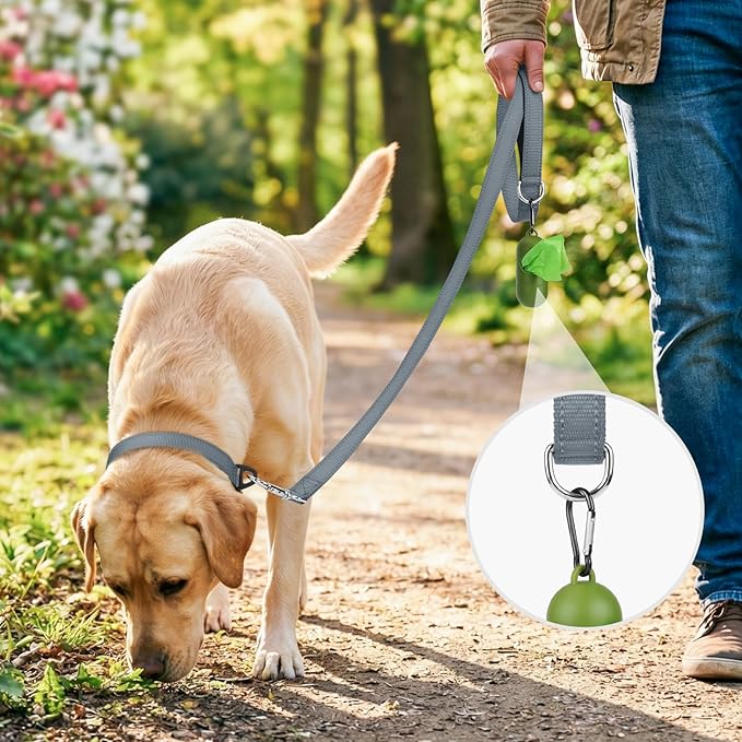 Joytale Dog Leash, 4 FT Double-Sided Reflective, Padded Handle Nylon Heavy Duty Leashes for Medium & Large Dogs Walking, Grey