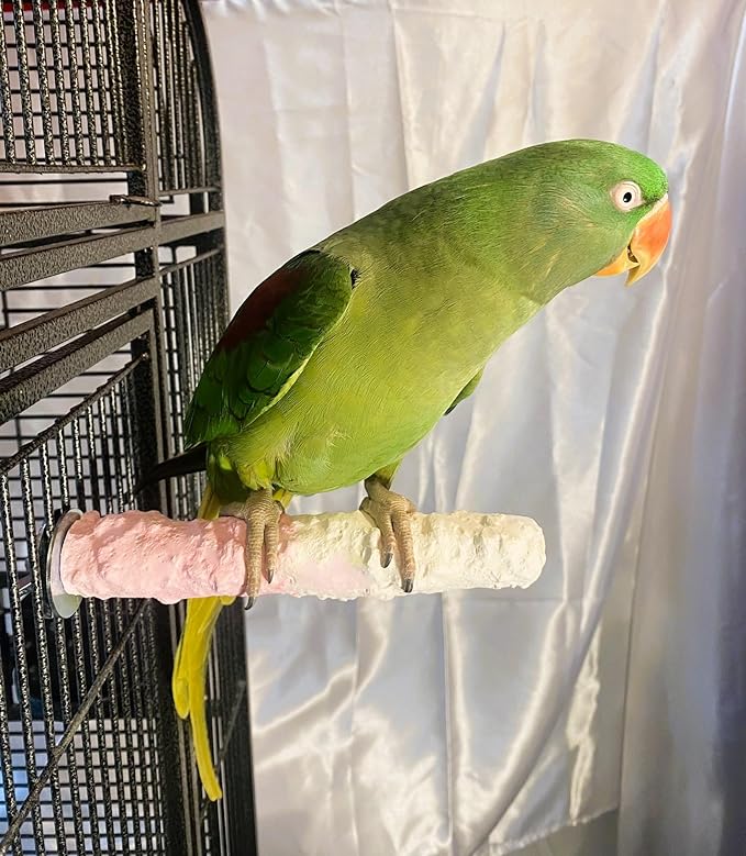 Polly's Edible Cuttlebone Calcium Bird Cage Perch for Budgies, Parakeets, Amazons, Blue & Golds, Macaws and Cockatoos.… (Strawberry, Medium)