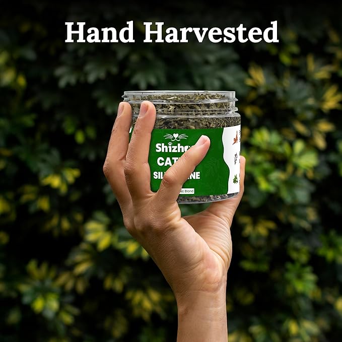 Catnip Silver Vine Blend for Cats & Kittens, Non-Toxic Freshly Dried and Dual Stimulation Formula Organic Silvervine Haze & Cat nip for Cats to Activate Your Kitty's Playful Side