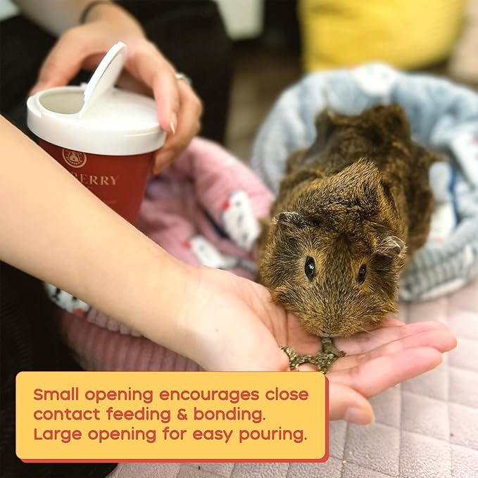 GuineaDad Organic Guinea Pig Herbal Treats - Guinea Pig Food with Convenient Packaging - Raspberry Leaf Flavor - 16 fl. oz - Guinea Pig Treats Help with Bonding - High in Nutrition and Fiber - Large
