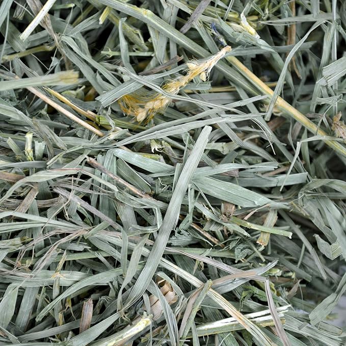 Oxbow Organic Meadow Hay, Guinea Pig & Rabbit Hay, Small Pet Bunny Supplies, All Natural Grass for Guinea Pig, Bunny, Chinchilla & Hamster, Rabbit Supplies for Bunnies, 40 oz Bag