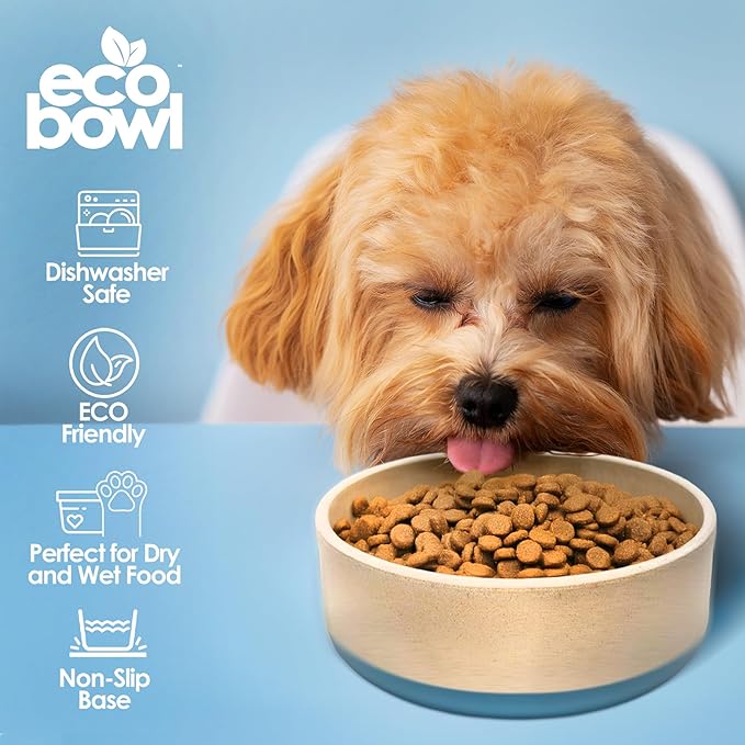 Palz&Co EcoBowl with Lid for Dogs & Cats, 28 oz Blue - Natural Bamboo Pet Bowl with Non-Slip Base, Pet Food and Water Dish, Dishwasher Safe