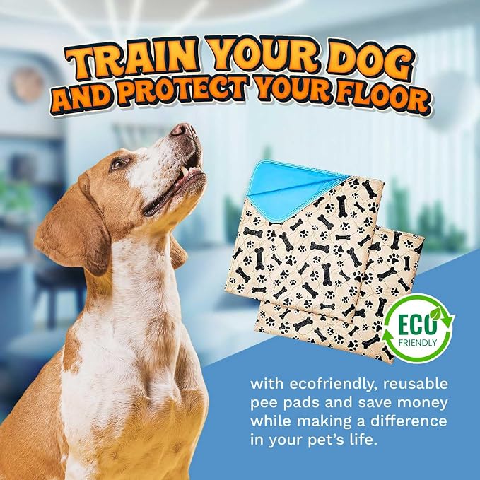 Super Absorbent Washable Pee Pads for Dogs Large 35 x 31 (2-Pack) Puppy Pads pet Training Pads Reusable Pee Pads for Dogs 100% Waterproof Dog Puppy Pee Pads Extra Large Wee Wee Pads for Dogs pet Peed